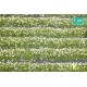 White Blossom Strips