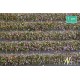 Violet Blossom Strips