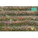 Colourful Blossom Strips