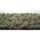 Two Colour Grass Tufts Winter Frost (Large)