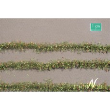 Agricultural Strips with Leaves Early Fall (Small)