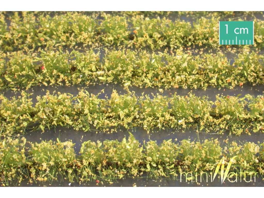 Yellow Flower Field Strips Yellow Flower Field Strips