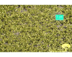 Birch Foliage Spring (Large)