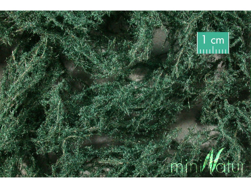 Ground Cover Evergreen (Dark) Ground Cover Evergreen (Dark)