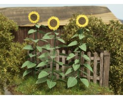 VG4-024 Sunflowers