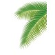 VG7-034 Palm Leaves Type 1