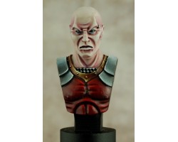 Evil Warrior